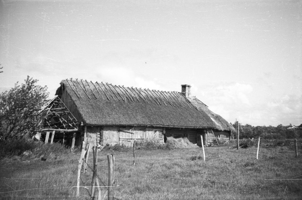Mägari village Kööba farm rehemaja
