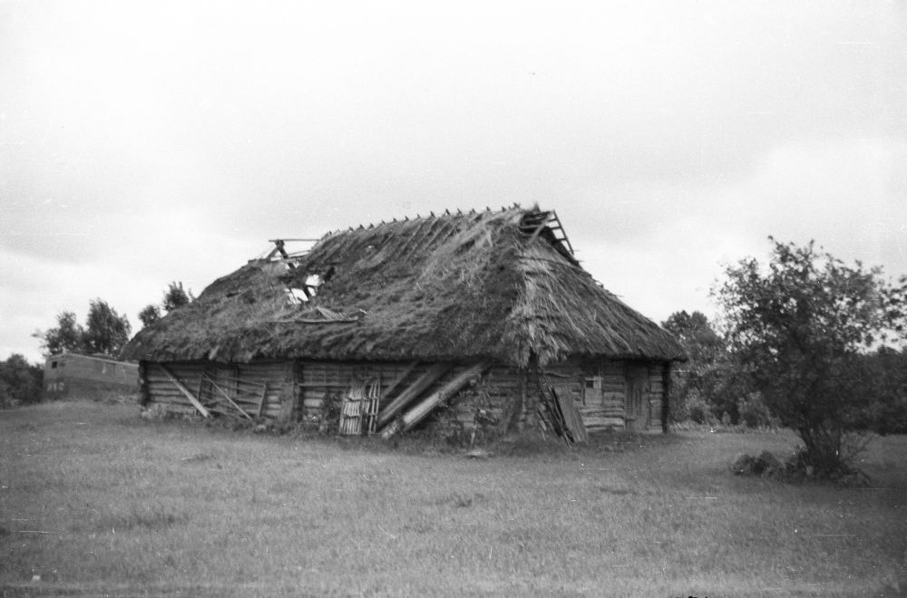 Veski village Liivaaugu farm rehemaja