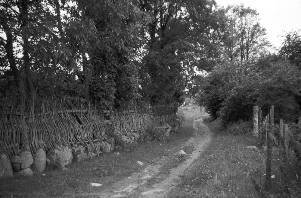 Visiting in Metsküla
