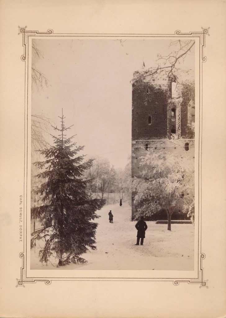 Tartu linnavaade. Toomkiriku varemed. 20. sajandi algus.