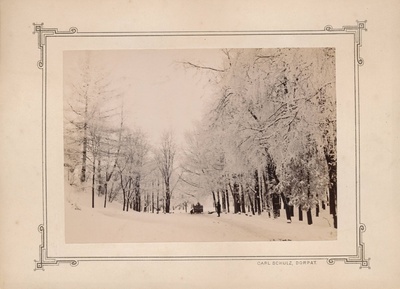 Tartu linnavaade. Talvine Toome nõlvak. 20. sajandi algus.  duplicate photo
