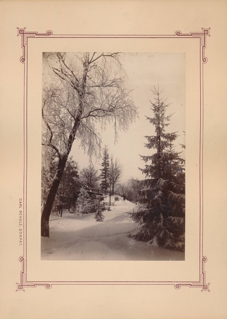 Tartu linnavaade. Talvine Musumägi Toomemäel. 20. sajandi algus.