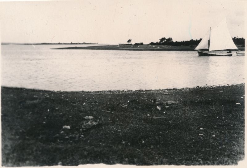 Photo. Noarootsi, Base beach. Look in the southeast. 17.08.1924. Photographer. G. Vilbaste.