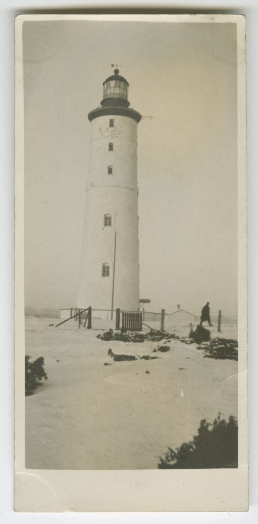 Rams' lower fire tower
