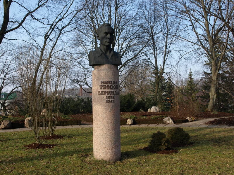 Mälestusmärk: Teodor Lippmaa. Tartu. 2008.