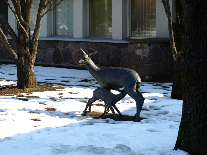 Skulptuur " Metskits imetab talle" (skulptor A. Vomm). Tartu, 2008.