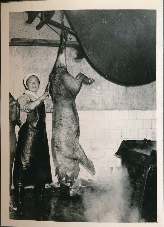 Tartu Lihakombinaat, tapatsehh. 1960