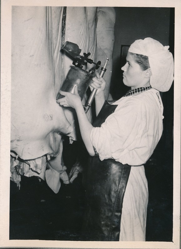 Tartu Lihakombinaat,  lihakeha kõrvetamine leeklambiga. 1960