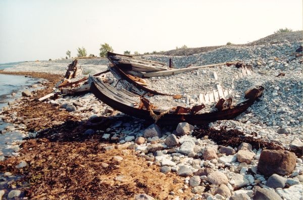 V-pakri wreck