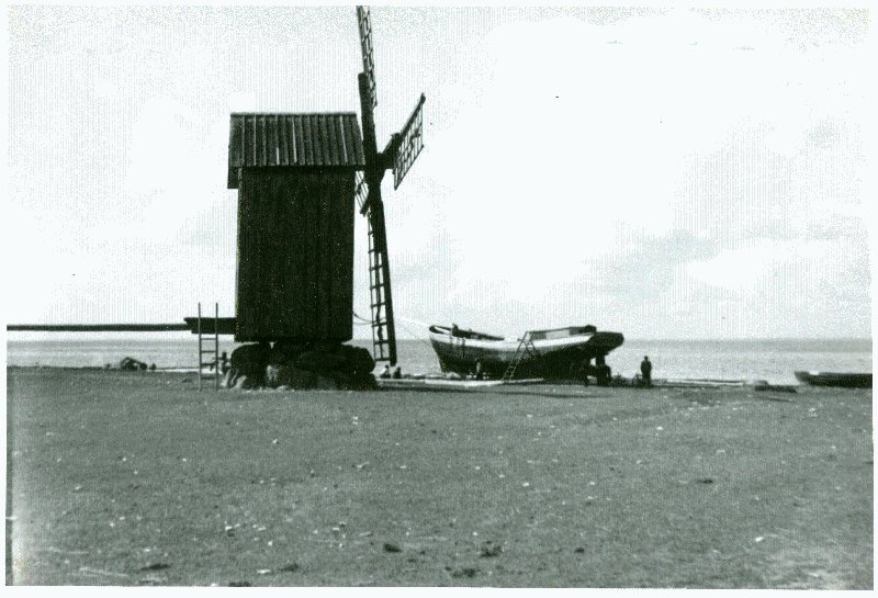 Photo. Wind and cabbage. Förby.  Summer memories from Vorms in the album. 1933/34. Photo: J.F. Luikmil.