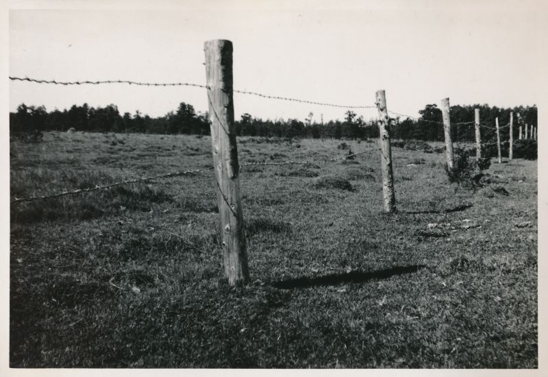 Photo. Barbecue traits. Summer memories from Vorms in the album. 1933/34. Photo: J.F. Luikmil.