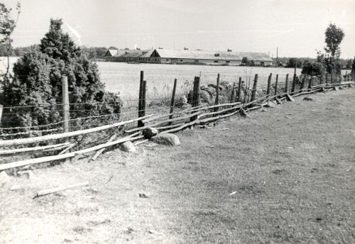 Beach pasture on Vormsil