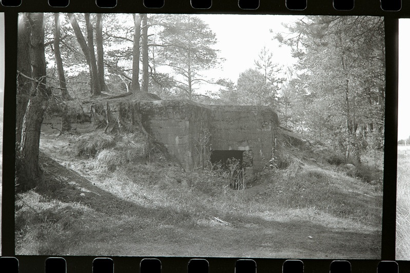 Jaovarjend Sauga peatuse juures, 1985