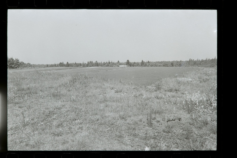 Jaovarjend Haagel, 1987