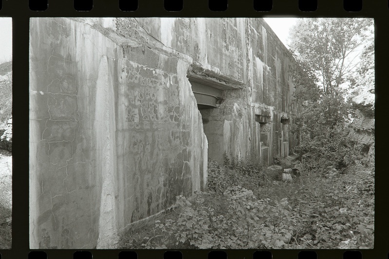 Rooduvarjendi sissepääs, 1987