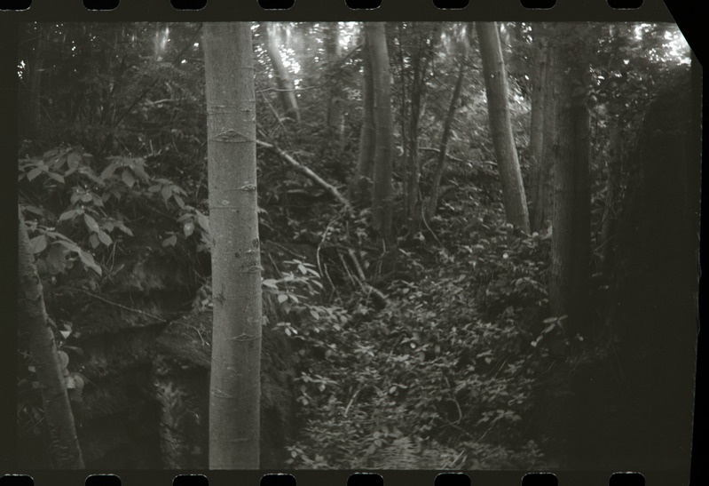 Sissepääs Meriküla 10" patarei laskemoonavarjendisse, 1988