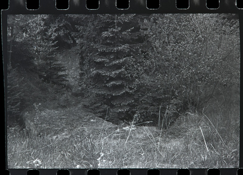 Muldvallid Hiiesaare patareisse sissepääsul, 1989