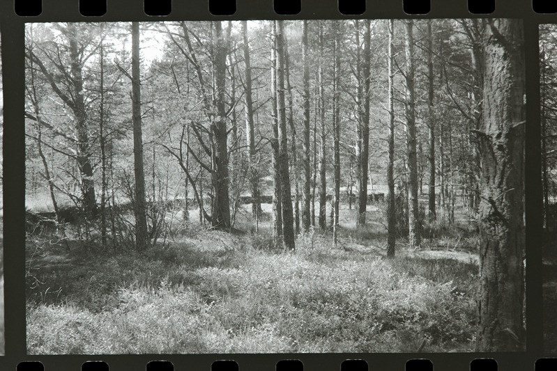 Tahkuna 12" patarei 3. suurtüki abibloki betoonkonstruktsiooni äär