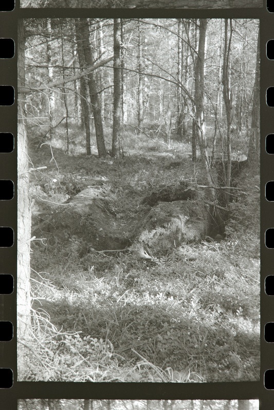 Tahkuna 12" patarei jõujaama vundamendi jäänused põhjaküljest, 1987