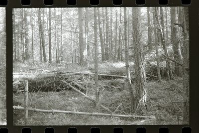 Tahkuna 12" patarei jaotushoone, 1987  duplicate photo