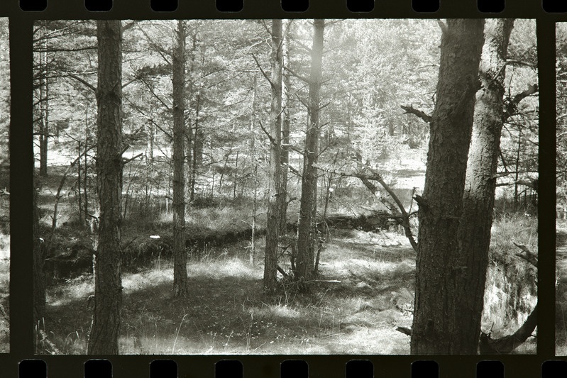 Tahkuna 12" patarei 3. suurtüki aluse juurde valatud abibloki alus, 1987