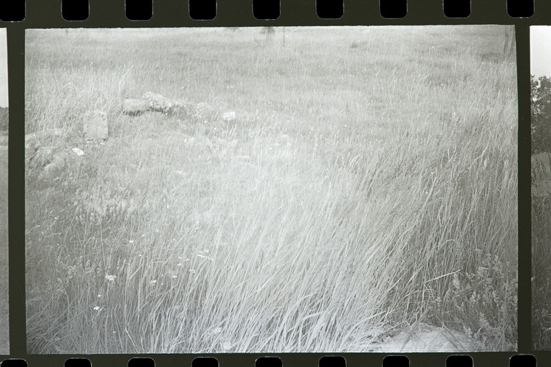 Sõru patarei õhitud varjendikohad, 1985