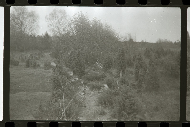 Värava jõgi Võiküla raudtee ristumiskohas, 1987