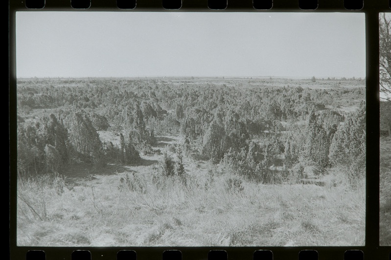 Vaade Võiküla 10" patarei 1. suurtüki eesvallilt kagu suunas Või lahele, 17.05.1988