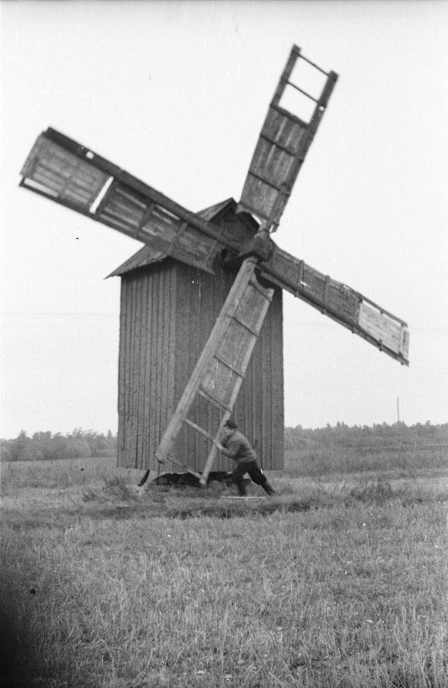 Sand farm pudding wind in Sviby village