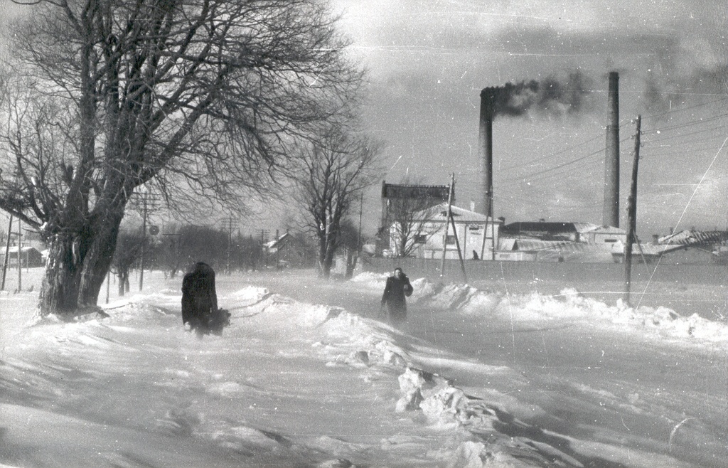 Foto. Võru. Vaade Võlsi teeotsast Võru Elektrijaamale ja Piiritustehasele.