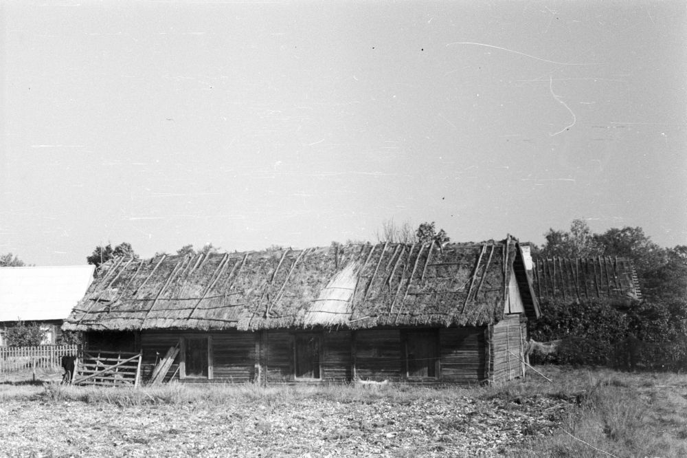 Bakjase farm shepherd in Rälby village