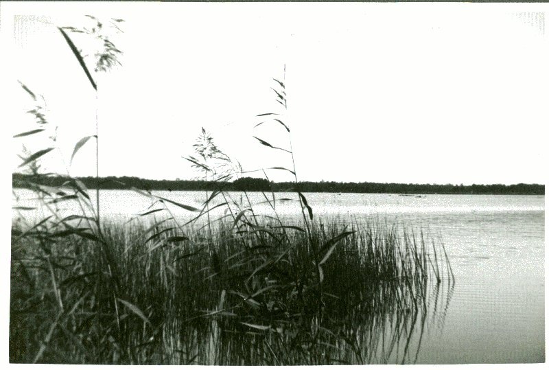 Photo. Prestvike Lake Hullos.  Summer memories from Vorms in the album. 1933/34. Photo: J.F. Luikmil.