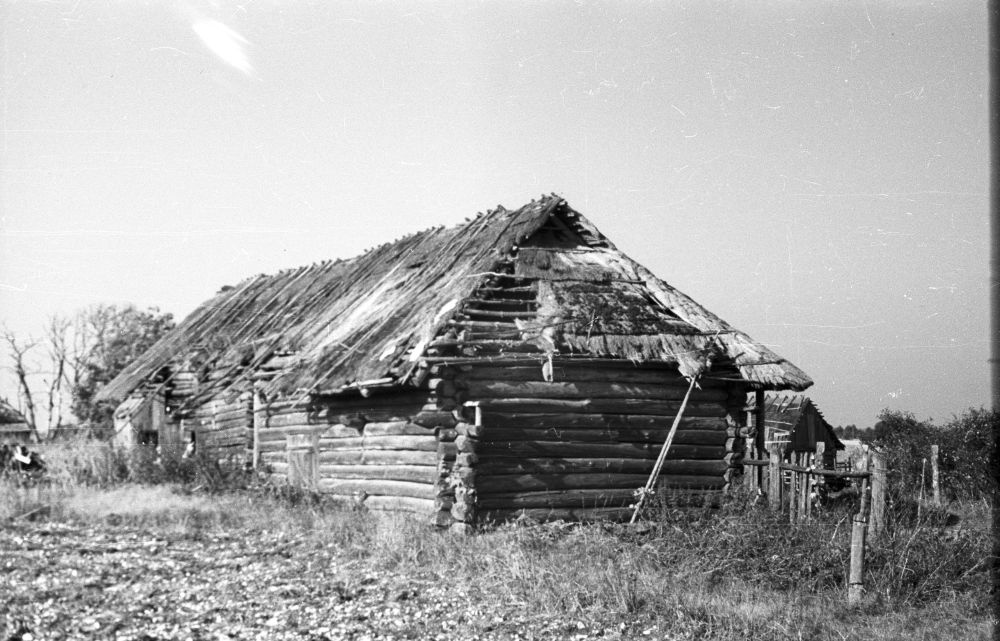 Bakjase farm rehabilitation in Rälby village