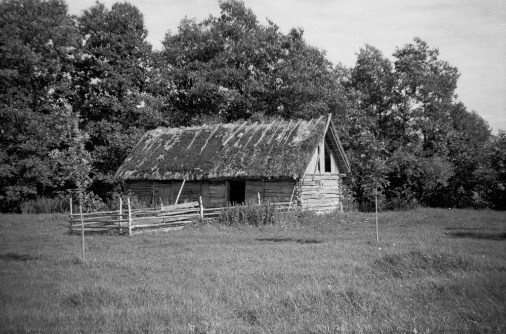 Next building of Hosby village Eriase farm (laughter?)