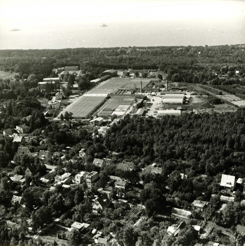 Air view to Tallinn: Pirita Garden greenhouses, at the forefront of Mähe