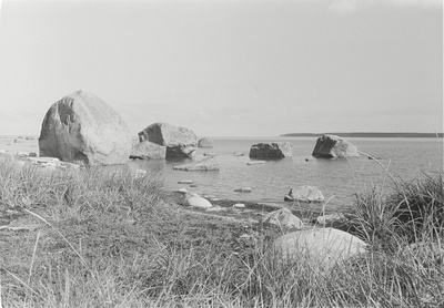 Käsmu  similar photo