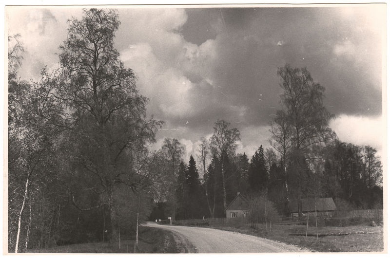 Kiviloo park
