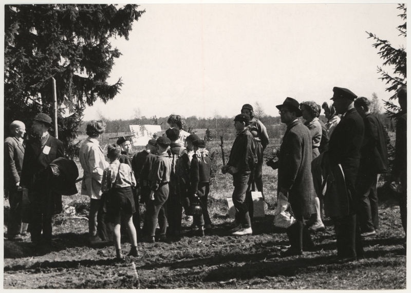 K. Türnpuu pargi korrastamine