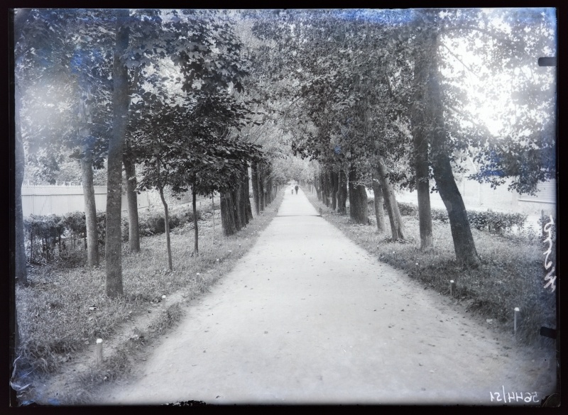 Võru, pargivaade