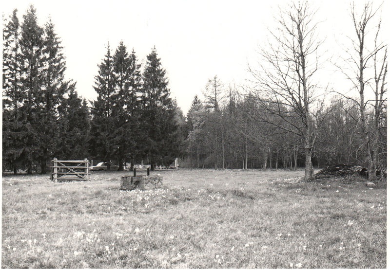 Kivioja mõis