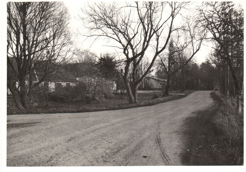 Alavere mõis (kõrvalhooned)