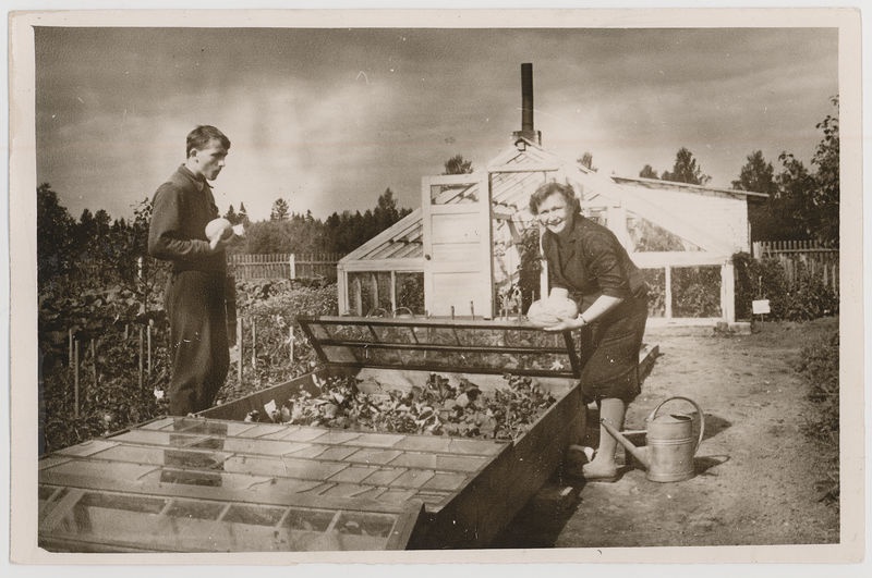 Paunküla kooli katseaias Luule Org meloniga