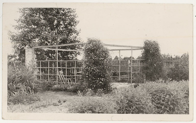 Paunküla kooli katseaed. Lehtla