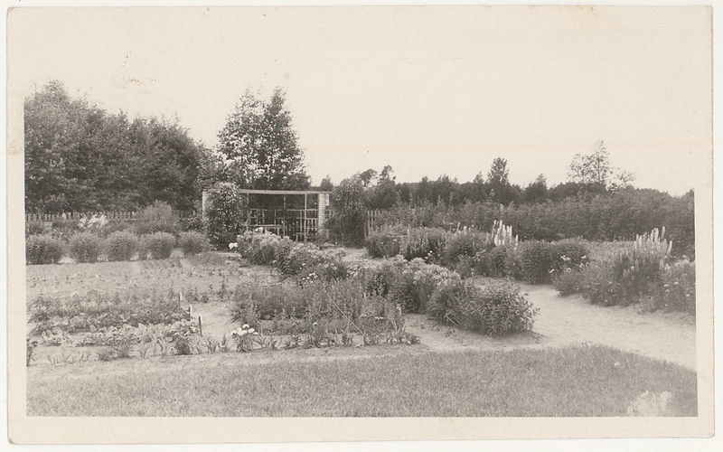 Paunküla kooli katseaed ja lehtla