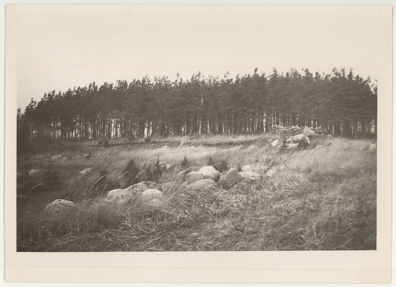 Suurmägi Vilamal