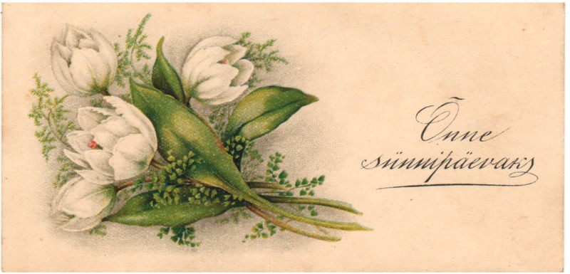 Piltpostkaart: Lilledega