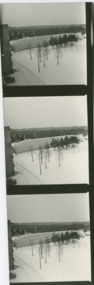 TPI kilehalli välivaade talvel, 13.veebr. 1976.a.  duplicate photo