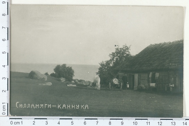 Kannuka farm on the beach, Sillamägi