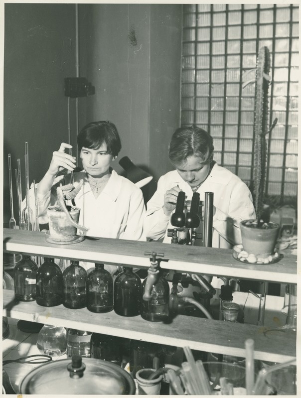Tudengid TPI anorgaanilise keemia praktikumis, 1966.a.