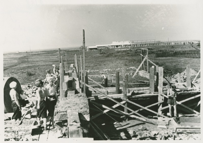 TPI tudengid tööl Kasahhi NSV-s, Zaretšnõi sovhoosis, autogaraaži ehitamas,1956.a.